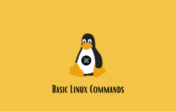 Basic Linux Commands For Beginners
