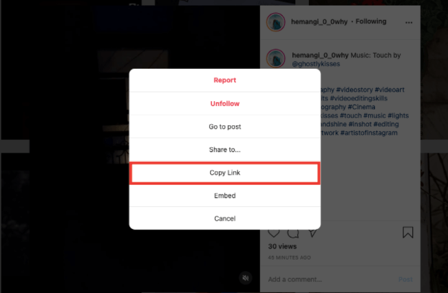 Step1_How To Download Instagram Videos and Stories